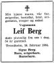 Leif Berg Dødsfallann